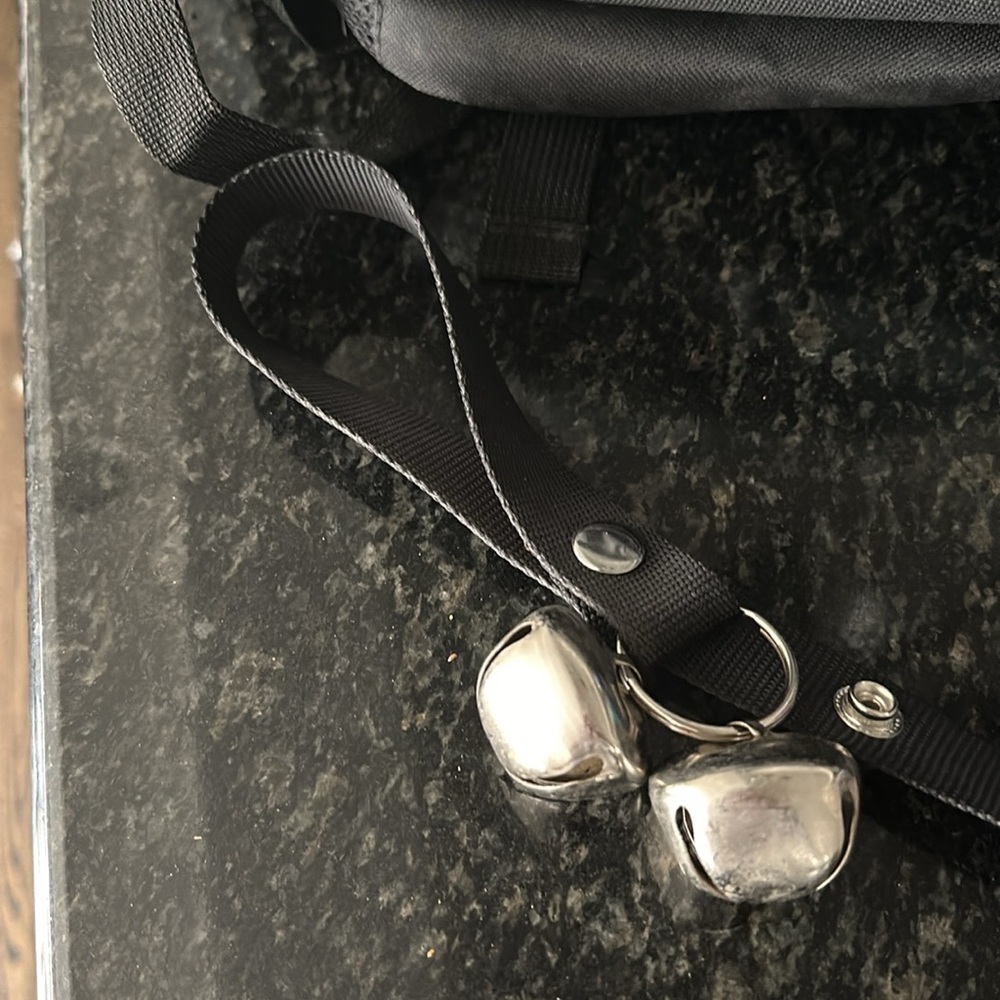 Training bells for dogs